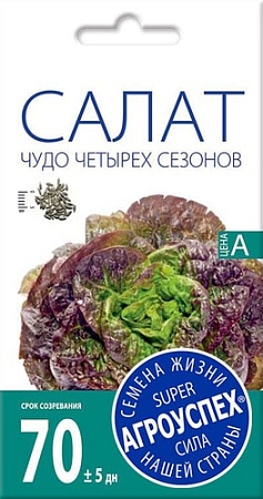 Семена Агроуспех Салат Чудо четырех сезонов 27227 1 г