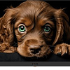 Телевизор Topdevice 55&amp;quot; QLED DQ08