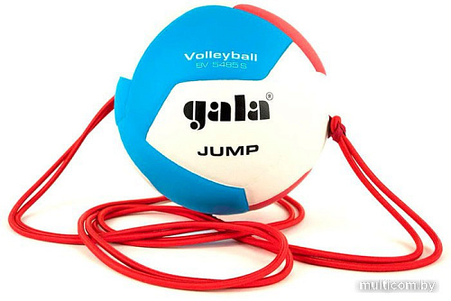 Волейбольный мяч Gala Jump 12 BV 5485 S (размер 5, красный/синий/желтый)