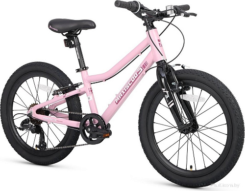 Детский велосипед Maxiscoo 3bike 20 L 2025 MSC-M3-2004 (розовый матовый, разобранный)