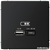 Розетка USB Systeme Electric ArtGallery GAL001029