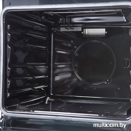 Кухонная плита Hansa FCGW52024