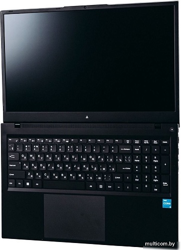 Ноутбук ACD 17S G2 AH17S3386WB