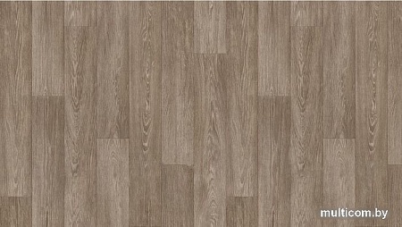 Линолеум Синтерос Drive Brig 2 (2x4м)