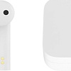 Наушники Xiaomi Air 2SE TWSEJ04WM (китайская версия)