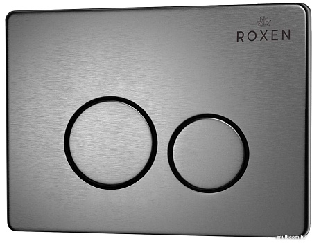 Панель смыва Roxen Steel 420260G