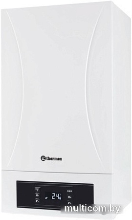 Отопительный котел Thermex Sirius PS24
