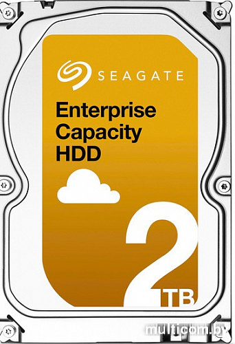 Жесткий диск Seagate Enterprise Capacity 3.5 v5.1 2TB [ST2000NM0008]