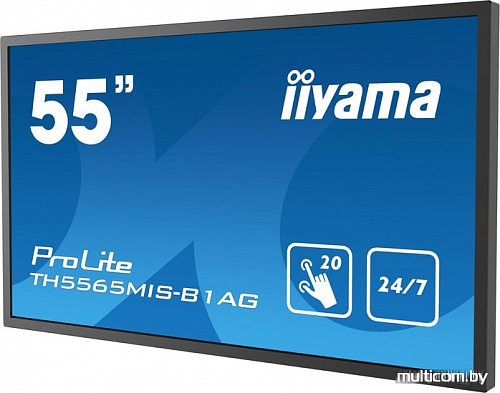 Информационная панель Iiyama ProLite TH5565MIS-B1AG
