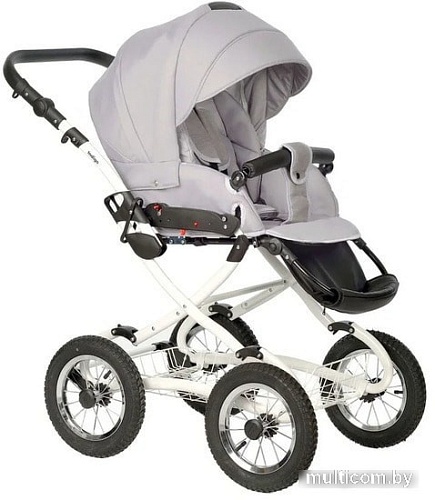 Универсальная коляска Indigo Barbara Classic (2 в 1, Ba 04)