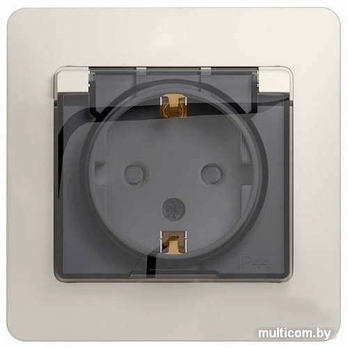 Розетка Schneider Electric Glossa GSL000948