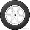 Автомобильные шины Nexen Roadian HTX RH5 265/70R17 115T