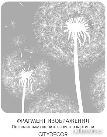 Фотообои Citydecor Цветы и Растения 9 300x260