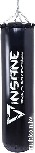 Мешок Insane PB-01 (40 кг, черный)