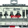 Набор фрез Bosch 2.607.017.470