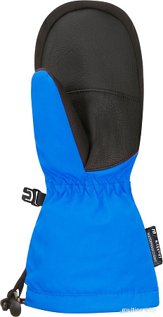 Горнолыжные варежки Reusch Kaden Down R-Tex Xt 6285562-4454 (р-р 5, Mitten Brilliant Blue)