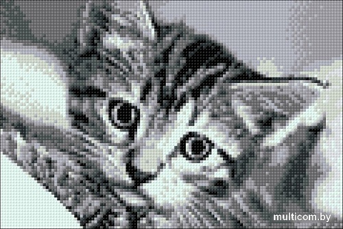 Алмазная мозаика Wizardi Черно-белый кот WD213