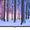Телевизор TELEFUNKEN TF-LED43S99T2S