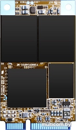 SSD Silicon-Power M10 mSATA 120GB [SP120GBSS3M10MFF]