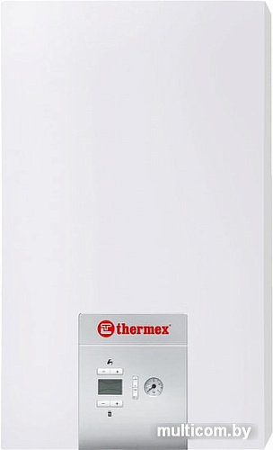 Отопительный котел Thermex EuroElite F28