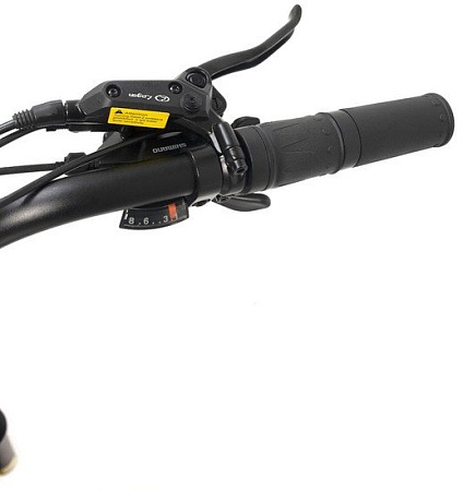 Электровелосипед Smart Balance Hunter 2024 (золотистый)