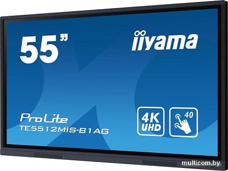 Интерактивная панель Iiyama ProLite TE5512MIS-B1AG