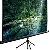Проекционный экран CACTUS TriExpert 165x220 CS-PSTE-220X165-BK