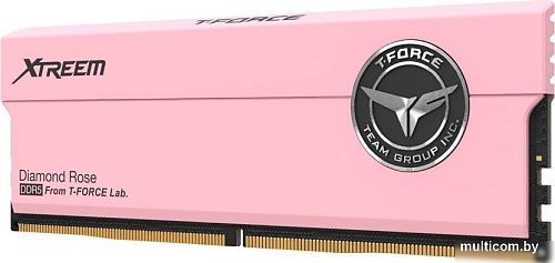 Оперативная память Team T-Force Xtreem 2x16ГБ DDR5 7200 МГц FFPD532G7200HC34ADC01