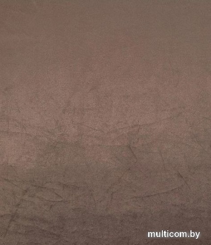 Штора Legrand Велюр 2x2.6 м 58118340 (трюфель)