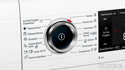 Стиральная машина Bosch WLW24L40OE
