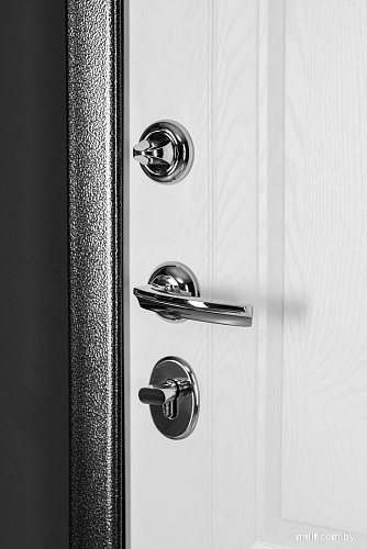 Металлическая дверь Guard Классика MG60 87х205 правая (черное серебро/белый ясень)