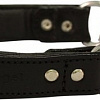 Angel Pet Rio Martingale 30560/AG (черный)