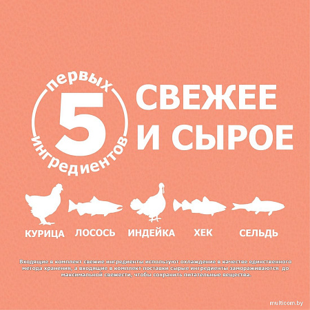 Сухой корм для собак Orijen Dog Puppy Small Breed 1.8 кг