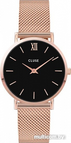 Наручные часы Cluse CW0101203003