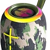 Беспроводная колонка BQ PBS4005 (камуфляж)