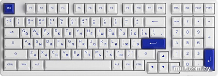 Клавиатура Akko 3098N Blue & White (TTC Honey)