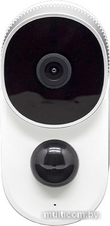 IP-камера SLS CAM-08WFWH