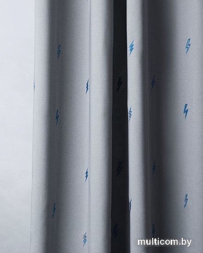 Комплект штор Pasionaria Флэш 290x250 с подхватами (серый)