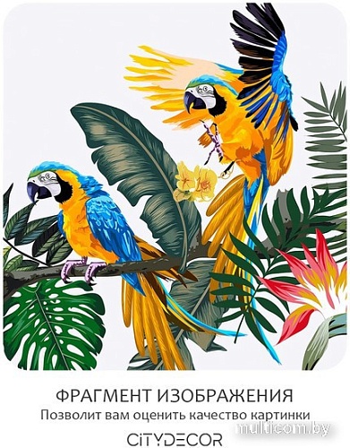 Фотообои Citydecor Абстракция 394 300x260