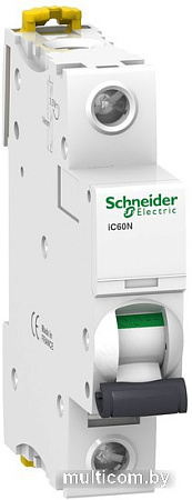 Выключатель автоматический Schneider Electric Acti 9 iC60 A9F79120