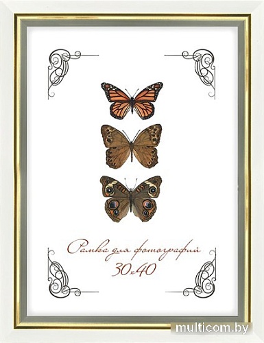 Фоторамка Палитра 12/602 35x45 (белый)