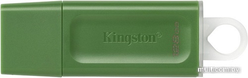 USB Flash Kingston DataTraveler Exodia 128GB (зеленый)