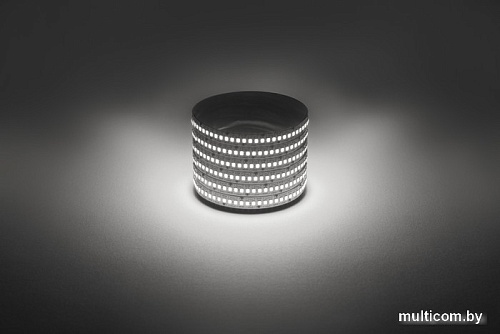 Светодиодная лента ЭРА LS2835 -19,2-240-12-4000K-IP20-1 year-5m дневной белый Б0059907