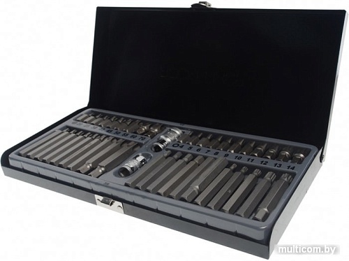 Набор бит RockForce RF-4421 (42 предмета)