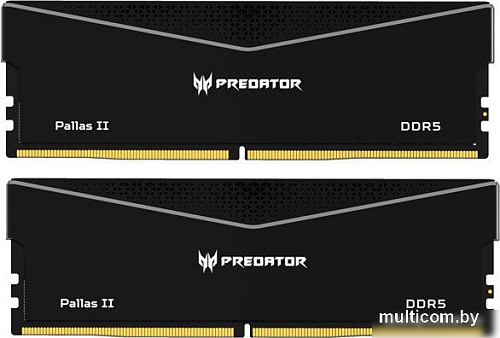 Оперативная память Acer Predator Pallas II 2x16ГБ DDR5 6000 МГц BL.9BWWR.650