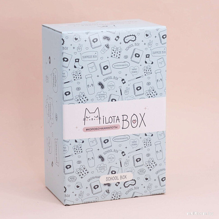 Подарочный набор Milota Box School Mini MBS019