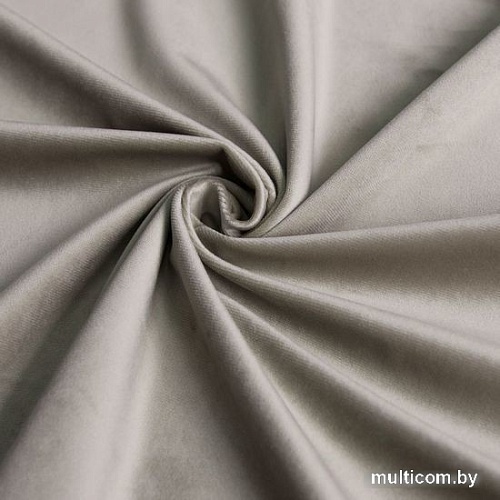 Комплект штор Pasionaria Бархат 290x250 (светло-серый)