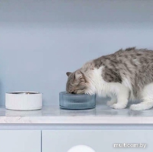 Миска Furrytail Antibacterial Stainless Steel Cat Bowl (голубой)