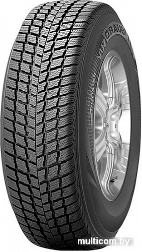 Автомобильные шины Roadstone Winguard Ice 215/55R17 94Q