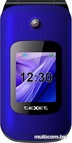 Мобильный телефон TeXet TM-B216 (красный)